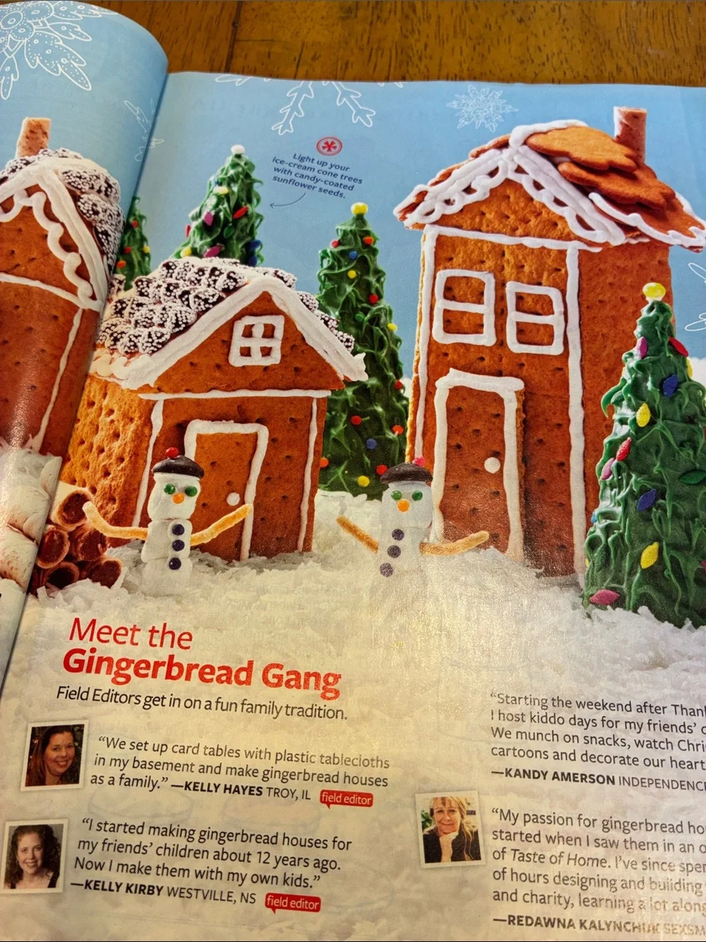Lot of 3 Taste of Home cookbook Magazines Fall and Holiday issues